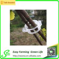 vegetable tomato trellis clip,vegetable tomato trellis clip,big discount in here,with hign quanlity but cheapest