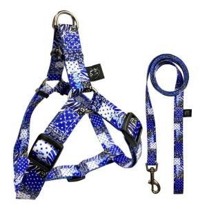 China Nylon Fashion Dog Harness Leash Collar Set Custom Pattern Line Style supplier