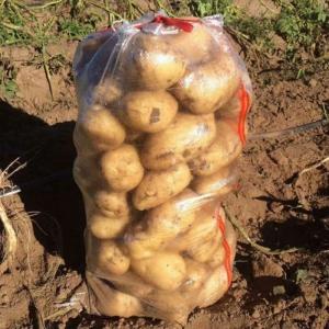 25kg Transparent Pp Woven Bag For Potato Onion Transparent Woven Bag
