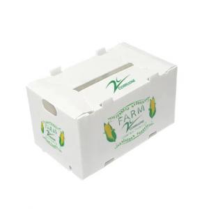 Polypropylene Corrugated Plastic Fruit Box Packing Storage Transportation