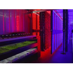 AC85-265V White LED Grow Lights 100 Watt For Indoor Gardening