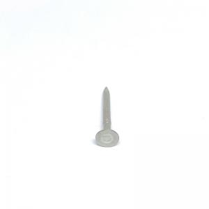 2.8X30MM Flat Head A2 Stainless Steel Nails With Smooth Shank