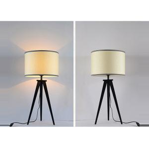 China Simple Study Room Led Bedside Lamp , Creative Personality Iron Black Bracket Tripod Table Lamp supplier