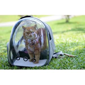 Outdoor Pet Carrier Backpack Portable Bubble Window Backpack Transparent