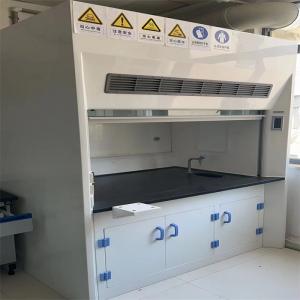 Customized Made Wall Mounted Chemical Fume Hood With Scrubber Systems