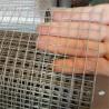 China Galvanized Square Welded Wire Mesh Plate / Galvanized Welded Wire Mesh Panel wholesale