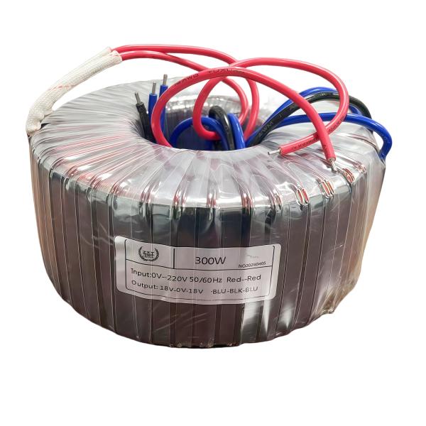 300W Toroidal Transformer Circular Isolation Coil for Boosting and Reducing Voltage