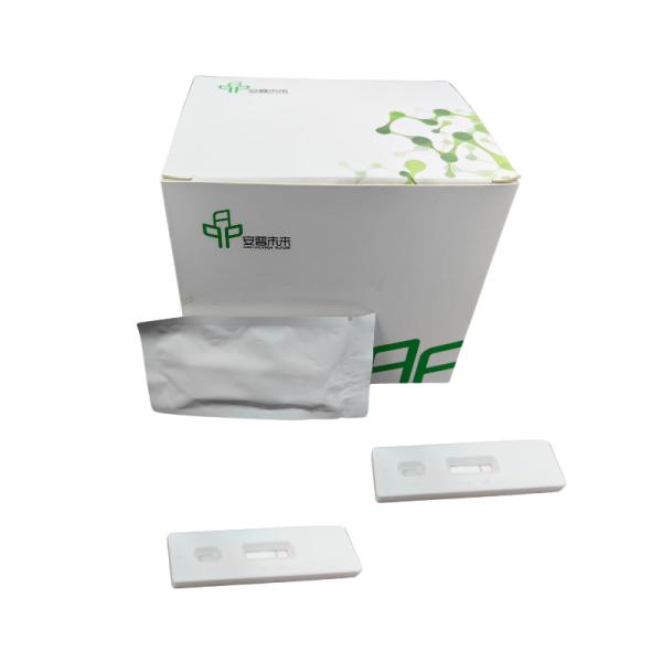 48 Tests / Box Isothermal Amplification Kit 5-20mins Test