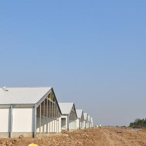 China Poultry farm Henhouse turnkey solution supplier
