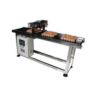 400W Inkjet Printer Egg Conveyor Belt Systems Display Screen