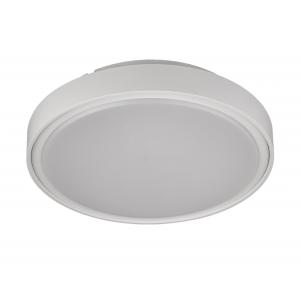 Changeable Warm White IP67 20W Circular Ceiling Light