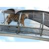Wire Rope Zoo Wire Mesh , Stainless Steel Animal Enclosure Netting CE Listed