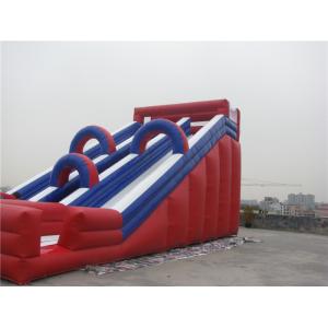 China Musement Park Giant Inflatable Water Slide For Rent Fire Resistance supplier