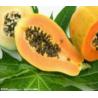 Papaya Fruit Powder / Pawpaw Fruit Powder / Freeze Dried Papaya / Pawpaw Fruit