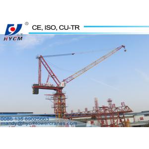 8t Building Luffing Tower Crane D3025 Model 30m Jib Length 2.5t End Load