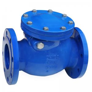 DN 40-DN 800 Stainless Steel Check Valve Face To Face Ss Swing Check Valve