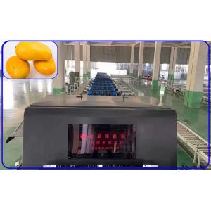 Detect Sugar Mechanical Fruit Sorting Machine Intelligent 2 Channel Mango Sorter