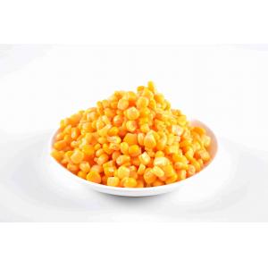 Fresh Delicious Whole Kernel Sweet Corn / Canning Fresh Corn Rich Starch And Fiber