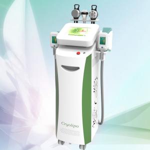 Green Color Cryolipolysis Slimming Machine for Whole Body Weight Loss / Refirming