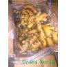 2016 New Fresh Chinese Yellow Color Ginger Export to , Karchi Port, Pakistan