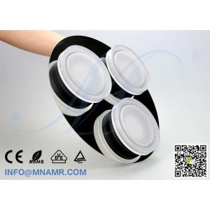 China Customized Design Restaurant Ceiling Light Restaurant Ceiling Lamp 15W AC86-265V supplier