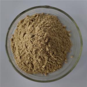 wholesale chaga mushroom extract/chaga extract in bulk