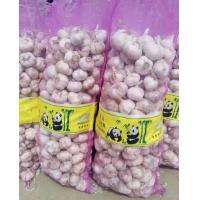 China Fresh Onion Garlic Packaging Net Bags For Fruit & Vegetable on sale
