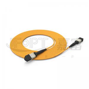 3.0mm MPO Trunk Cable 24 Core Backbone Cable OFNR OFNP Flame Retardant 2x12 Ferrule