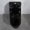 China 300mm Siphonic One Piece Toilet American Standard Black Porcelain wholesale