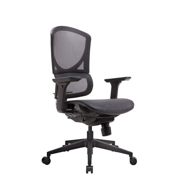 China Ayuda de Isee M Ergonomic Office Chair Mesh Desk Adjustable Back Lumbar supplier