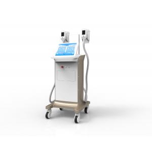 China Manufacturer Hot Sale Cryolipolysis Freezing Fat Removal Equipment with 2 Handles supplier