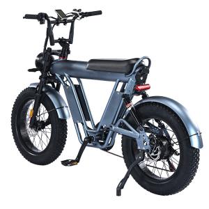 20" Wheel Size Folding Fat Tire Electric Bike Frame for Exercise Balance and Exercise