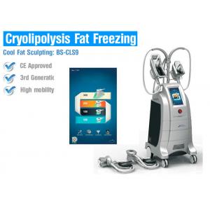 Cryolipolysis slimming equipment Fat suction cryotherapy cryolipolysis body slimming machine