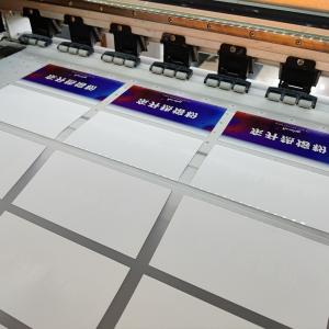 China Heat Transfer DTF PET Transfer Film For custom T Shirt Printing supplier