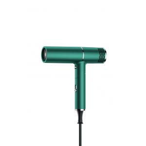 Ion High Speed Hair Dryer négatif, dessiccateur tranquille de coup avec Constant Temperature