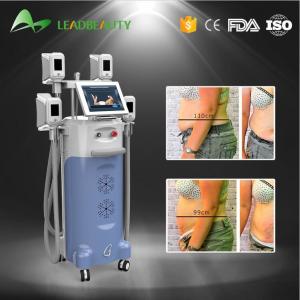 China Cryolipolysis cold body sculpting machine with 4 handles fat freezing machine supplier
