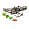 China Tomato/Strawberry Cleaning Machine with Lifting Function and Multifunctional Function wholesale