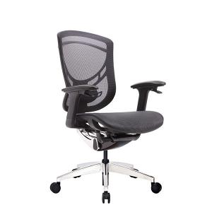 China Adjustable Lumbar Support Sliding Seat 3D Armrest Ergo Desk Chair supplier
