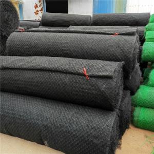 China Chinese Design Style Erosion Control Geomat/Planting Mat/Plastic Mesh/3D Geomat 7.6-10.2mm Thickness supplier