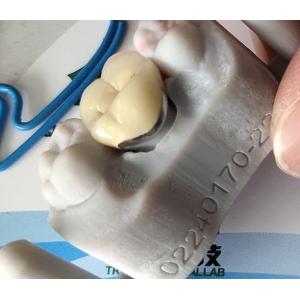 China Dental Lab Product CAD CAM PFM Crown porcelain fused to metal supplier