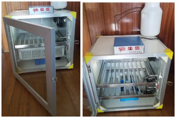 Exotic Bird Quail Hen Duck Egg Hatching Machine 60 Egg Automatic Incubator