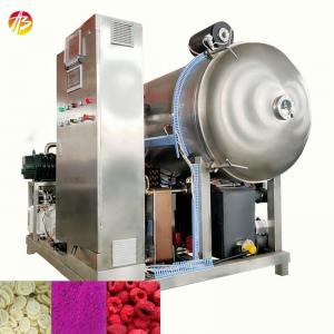 China 304 Stainless Steel Freeze Dryer Machine for Drying of Fruits Vegetables and Meats supplier