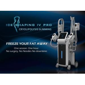 China Newest Cryolipolysis Cool Body Sculpture Machine With 4 Handles Working Together supplier