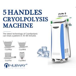 High Quality Cryolipolysis+Vacuum+Tripolar RF+Cavitation Fat Freezing Unit NBW-C325