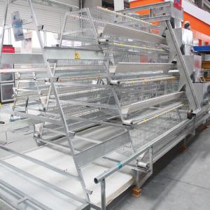China A Type Layer Chicken Cage Installation Provide supplier