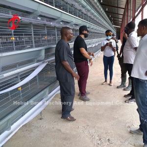 China A H Type Automatic Laying Chicken Poultry Farming  Cage System In Africa Market Iris supplier