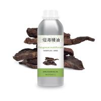 China factory supply wholesale 100% pure organic bulk Polygonum multiflorum oil on sale