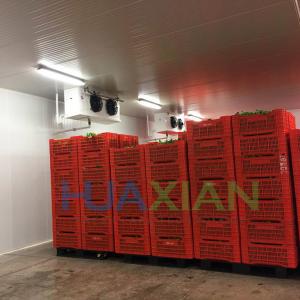 China Fish/Beef/Chicken/Potato/Onion/Ginger Cold Room Refrigeration Type Blast Cooling Walk in Storage Freeze supplier