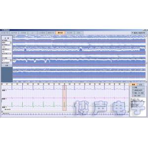 China BORSAM PC Based EKG Analyzer Holter ECG Software System supplier