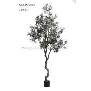 China High Imitation Faux Olive Plant 240CM 8 Ft Curving Stem Low Maintance Natural Looking supplier